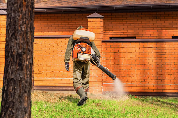 Trusted Cockroach Control service in Cambrian Park, CA - Nex Pest Control